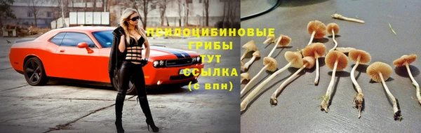 гидропоника Алексеевка